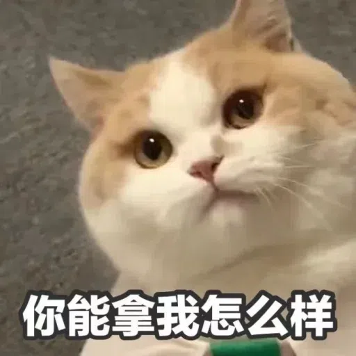 Meme 1 - Sticker 13