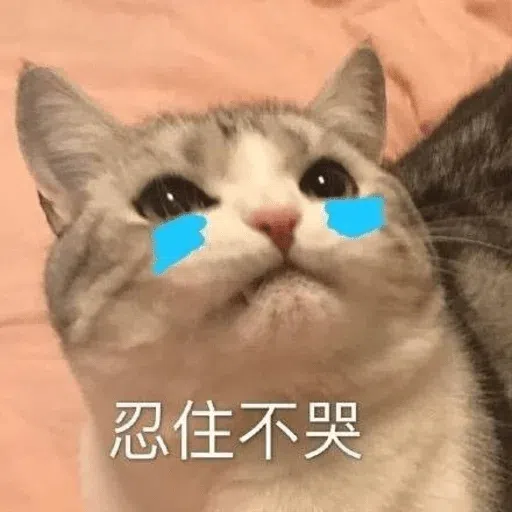 Meme 1 - Sticker 10