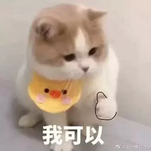 Meme 1 - Sticker 9