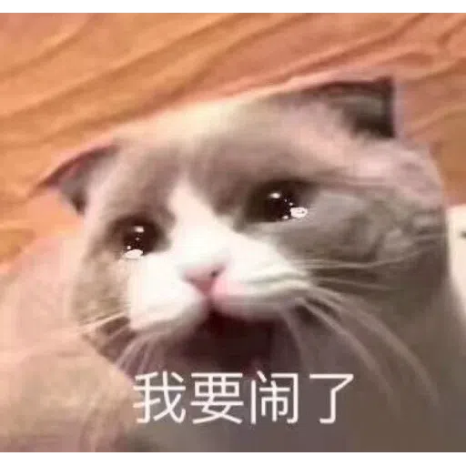 Meme 1 - Sticker 16