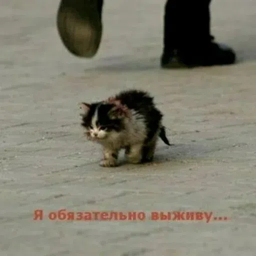 сотрясение очка - Sticker 19