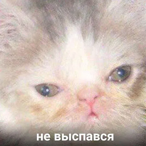 Это конец - Sticker 15