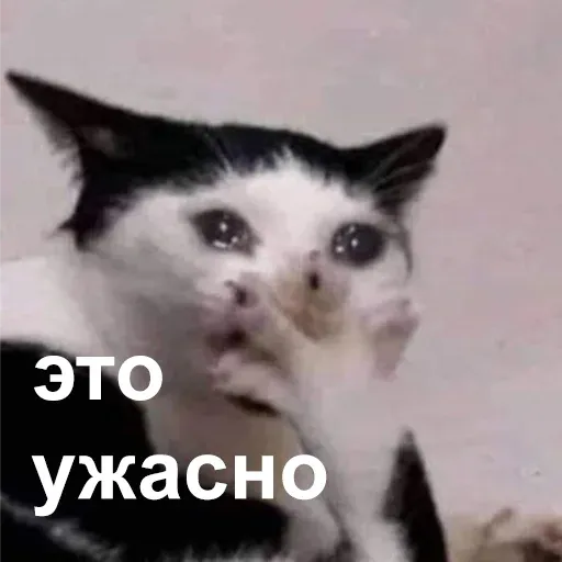 Это конец - Sticker 12