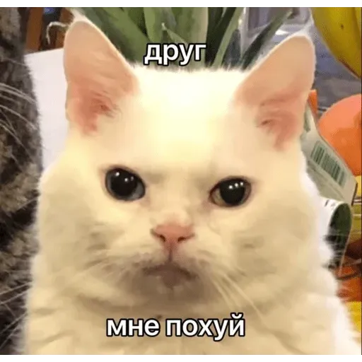 Это конец - Sticker 29