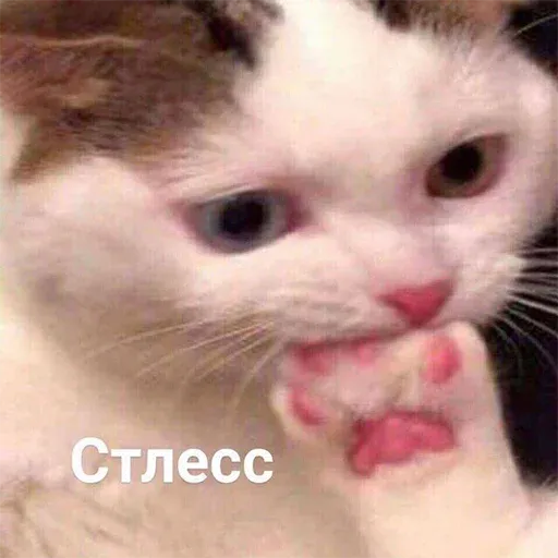 Это конец - Sticker 14