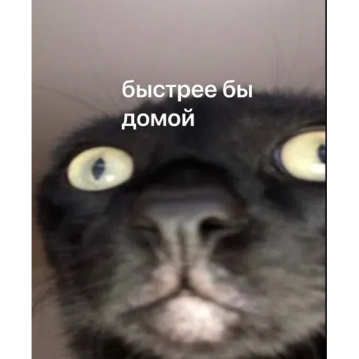 Это конец - Sticker 16