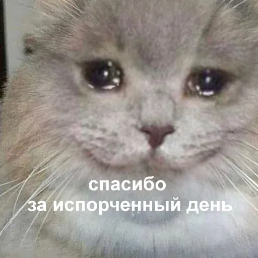 Это конец - Sticker 20