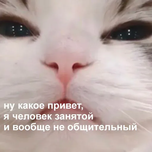 Это конец - Sticker 18
