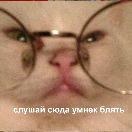 Это конец - Sticker 27