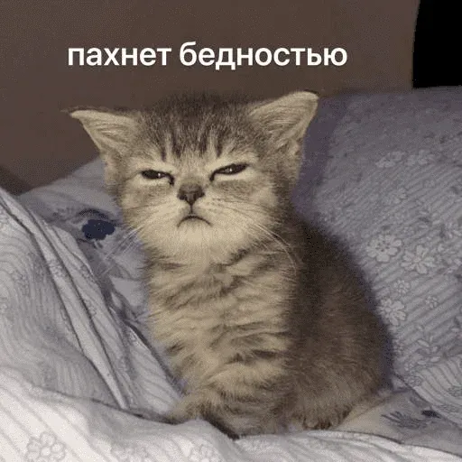 Это конец - Sticker 17