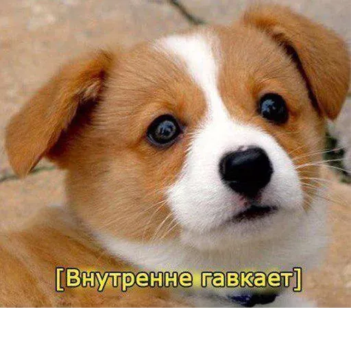 Это конец - Sticker 25