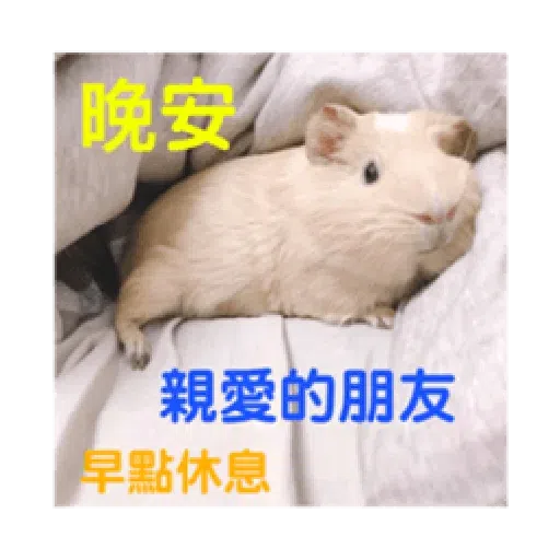 天天有萊 - Sticker 16