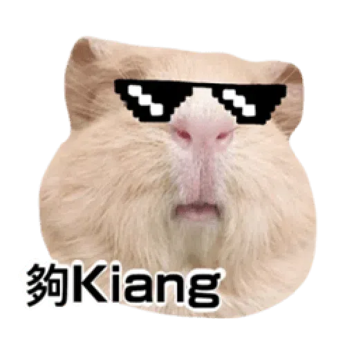 天天有萊 - Sticker 14