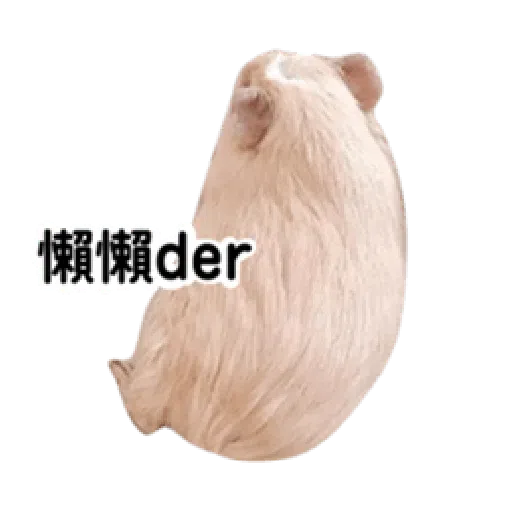 天天有萊 - Sticker 12