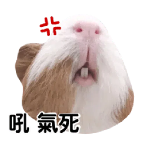 天天有萊 - Sticker 10