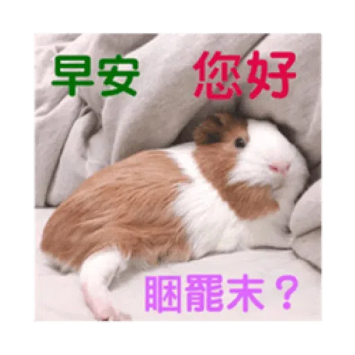 天天有萊 - Sticker 15