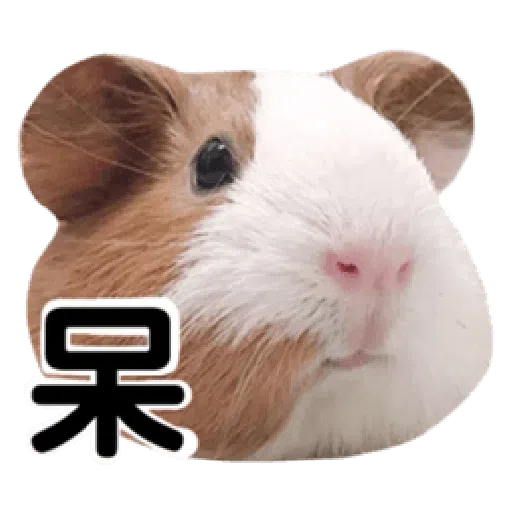 天天有萊 - Sticker 13