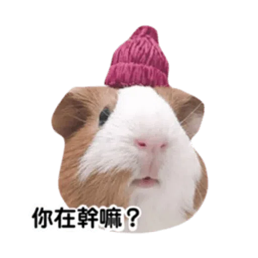 天天有萊 - Sticker 9