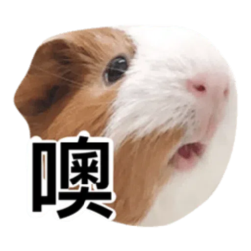 天天有萊 - Sticker 11