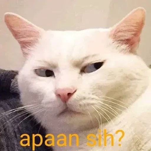 Meme 1 - Sticker 12
