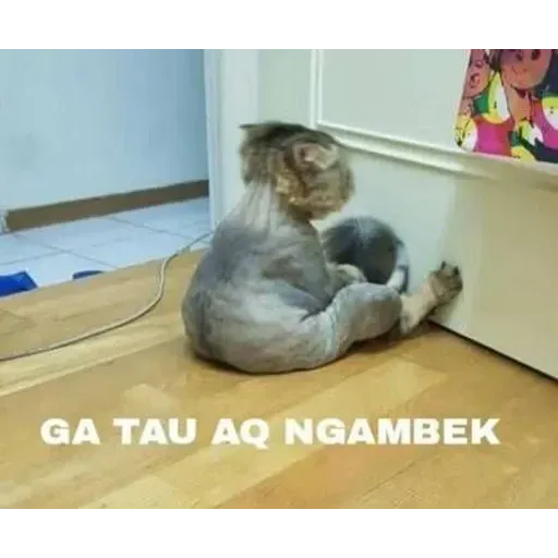 Meme 1 - Sticker 15