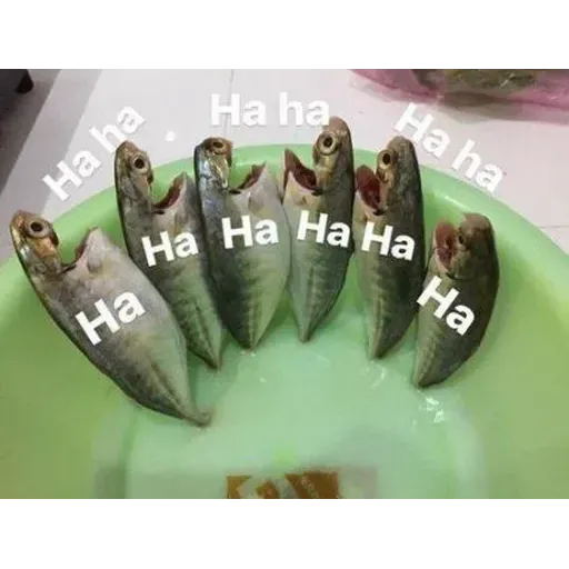 Meme 1 - Sticker 20