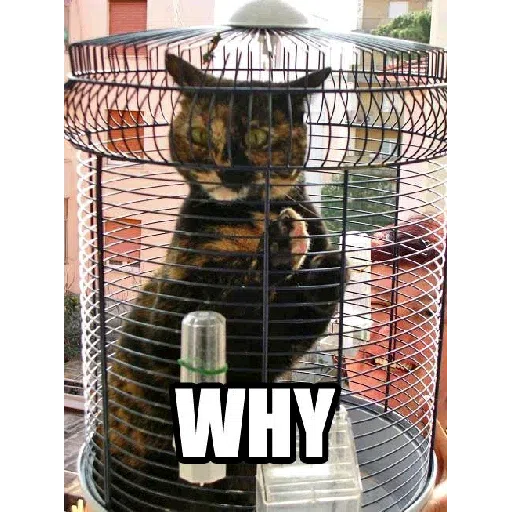 Cats 2 - Sticker 10
