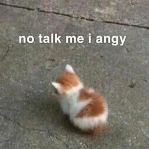 funny cat 10 - Sticker 24