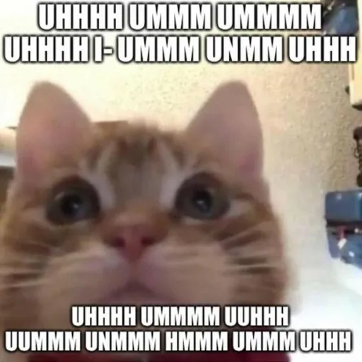 funny cat 10 - Sticker 12