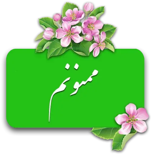 Danial4 - Sticker 14