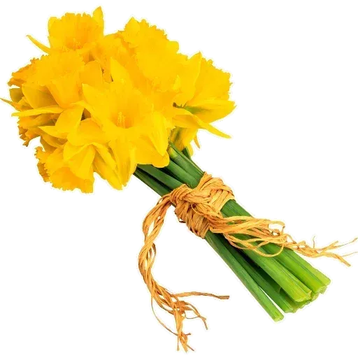 Flowerrr - Sticker 15