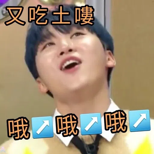 Seventeen - Sticker 9