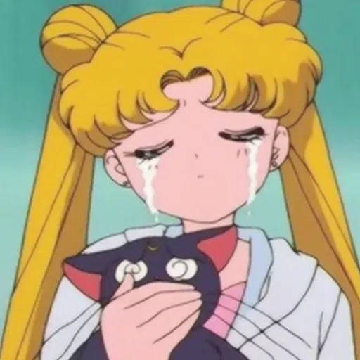 Sailor moon - Sticker 17