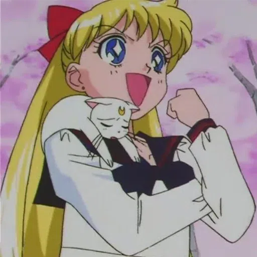 Sailor moon - Sticker 14