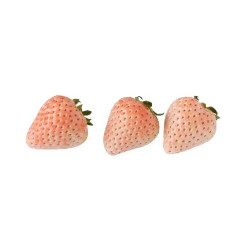 D2 - Sticker 13
