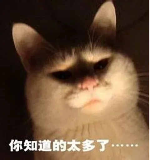 Sticker - Sticker 24