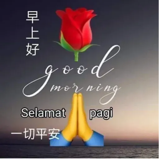 boomering2 - Sticker 22