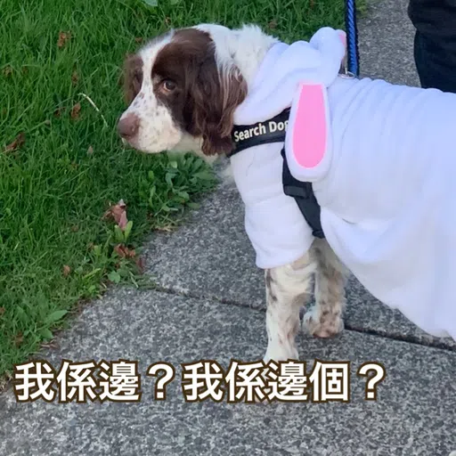 BESS嘅退休生活 - Sticker 9