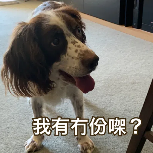 BESS嘅退休生活 - Sticker 18