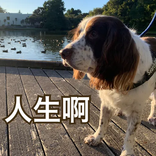 BESS嘅退休生活 - Sticker 14