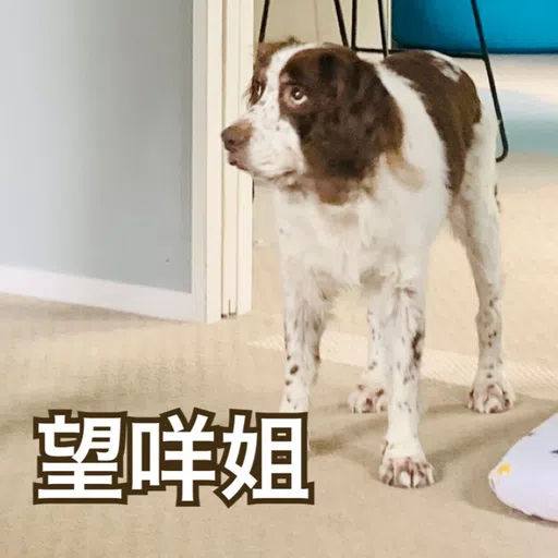 BESS嘅退休生活 - Sticker 15
