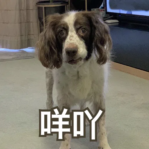 BESS嘅退休生活 - Sticker 21