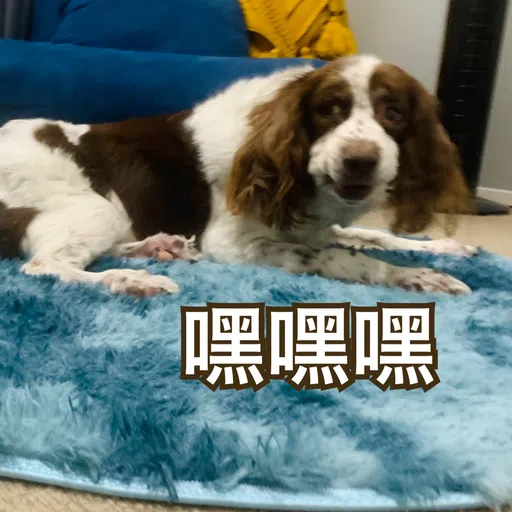 BESS嘅退休生活 - Sticker 13