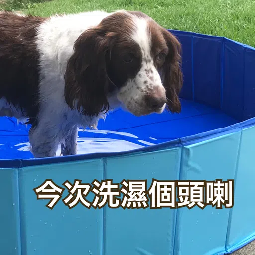 BESS嘅退休生活 - Sticker 20