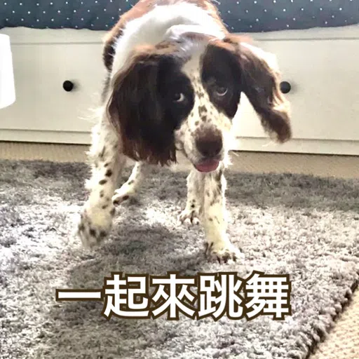 BESS嘅退休生活 - Sticker 11