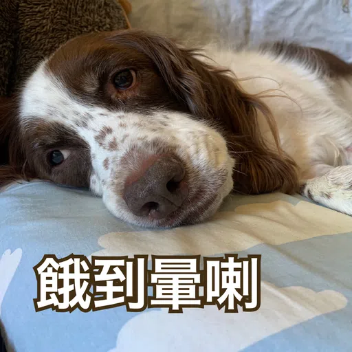 BESS嘅退休生活 - Sticker 17