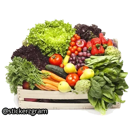 Fooddd - Sticker 14