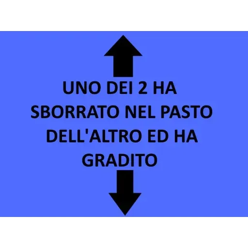 Se rubi stikers vuoi schiavizzato - Sticker 9