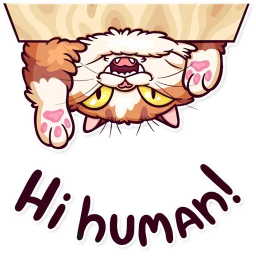 Meme Cats Stickers - Sticker 22