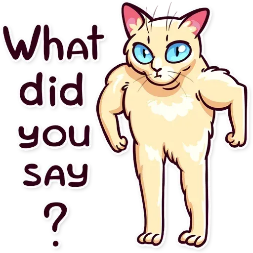Meme Cats Stickers - Sticker 10